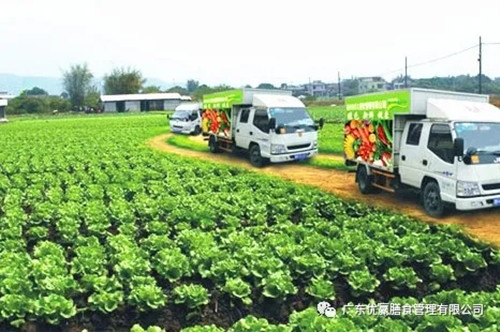 优嬴膳食.jpg